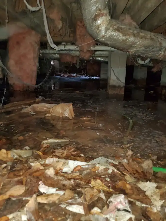 Crawl space flood assessment for Commercial Water Damage Restoration in Cape Coral